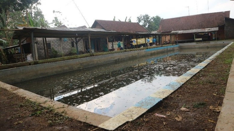 5 Cara Mengolah Budidaya Kolam Pemancingan